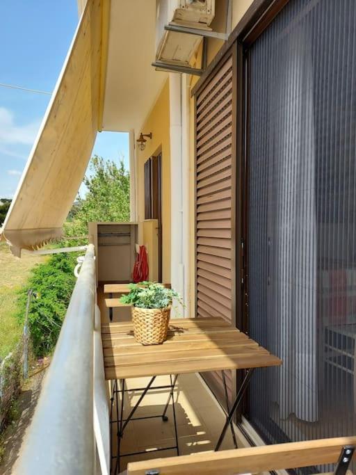 Ippokampos Seaside Artemida Apartment Exterior photo
